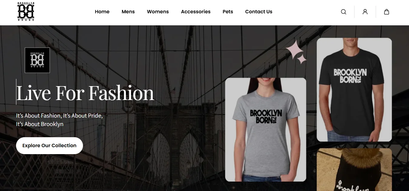 SaaS Dashboard Development